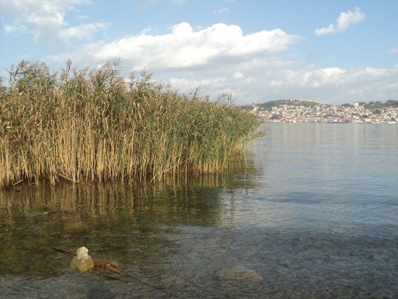 Охрид идната година домаќин на Европскиот конгрес за блатни екосистеми