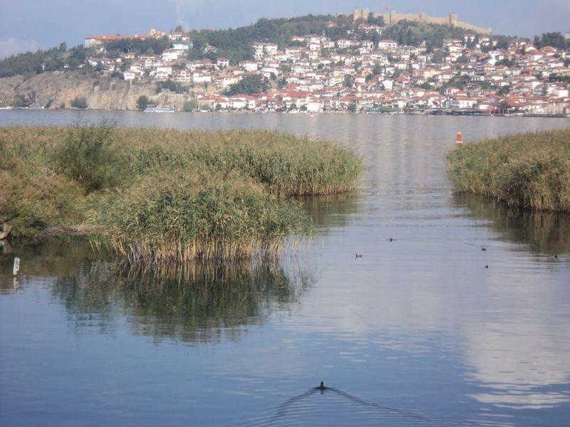 Студенчишкото блато на Охридското Езеро голем економски потенцијал 