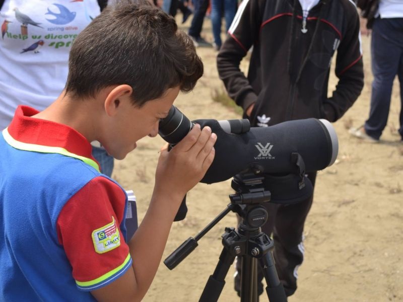 Децата од Албанија ги набљудуваат и ги заштитуваат птиците