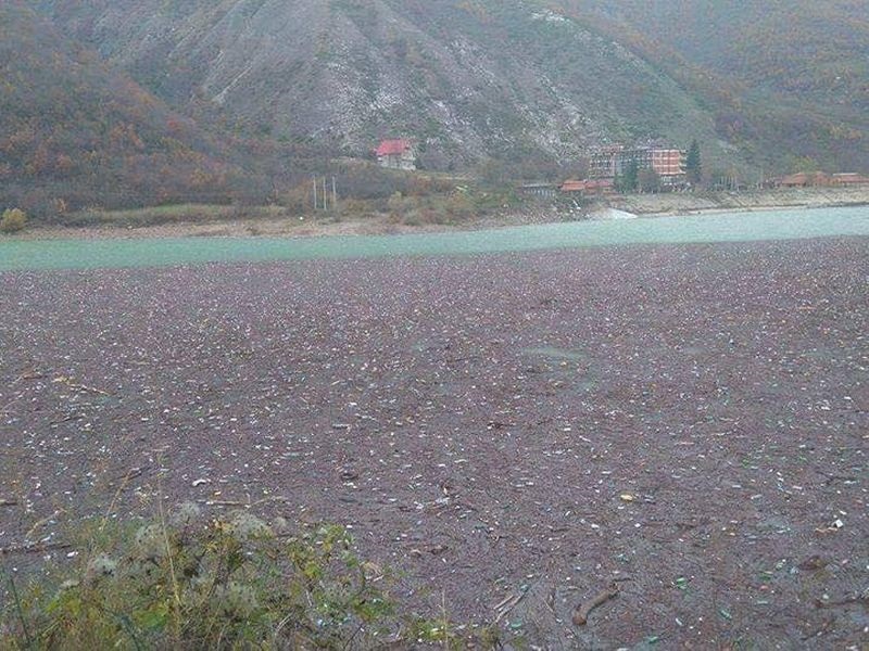 Застрашувачки фотографии: Дебарско Езеро преполно со ѓубре