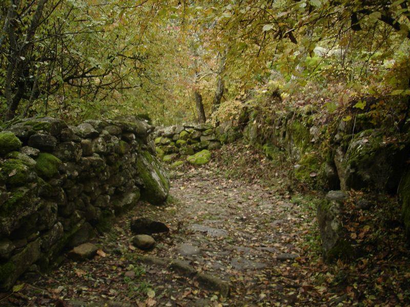 Не очекува студена и сува есен