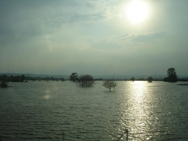 Промовиран водич за мерки и санација на почвата по поплави