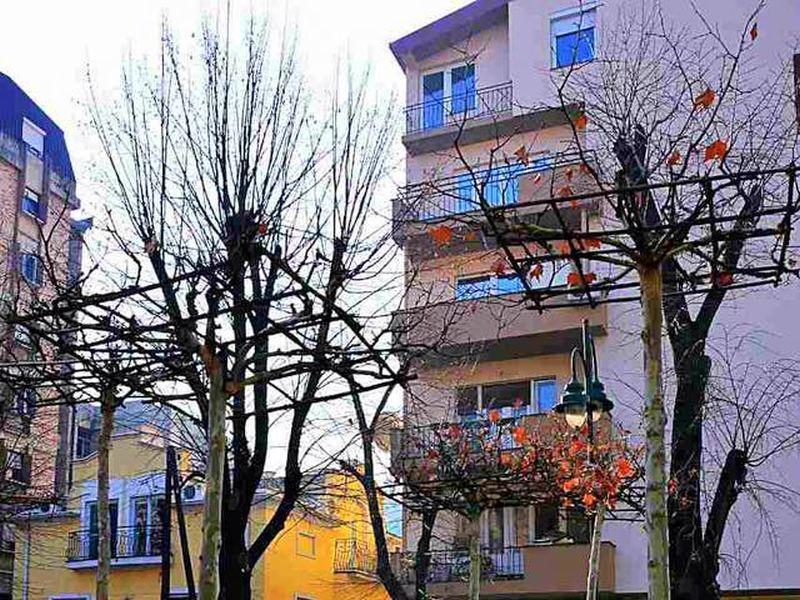 Ново зеленило на булеварот Свети Климент Охридски 