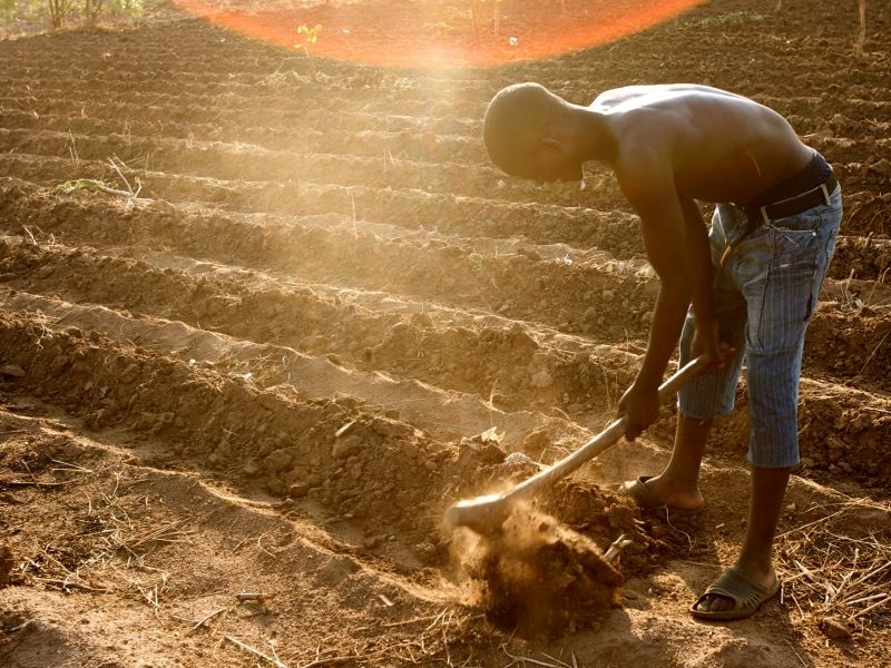 Соларната енергија ја спасува храната во Африка