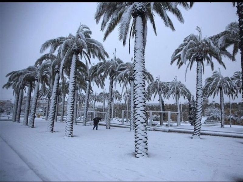 Падна снег во Саудиска Арабија