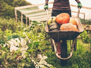 Македонски и бугарски земјоделци ќе станат нова генерација органски фармери