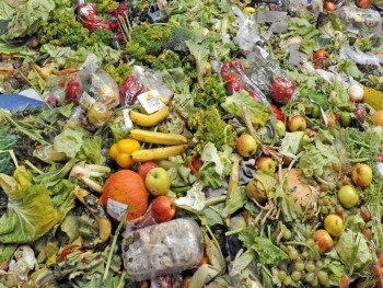 Македонија меѓу земјите што најмногу фрлаат храна 