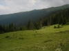 Македонија, Косово и Албанија во акција за зачувување на заштитеното подрачје Шар Планина - Кораб