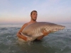Американец со трска уловил ајкула, па во раце ја вратил во водата