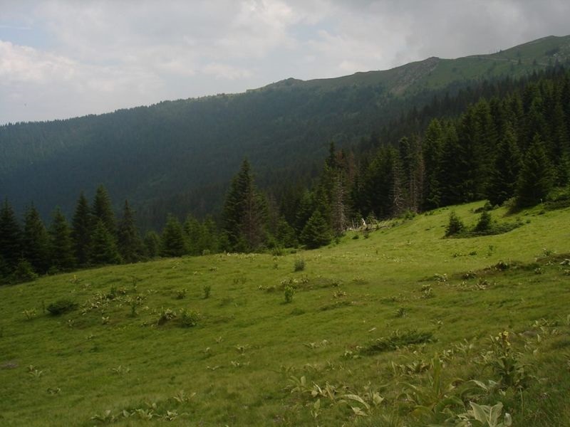 Македонија, Косово и Албанија во акција за зачувување на заштитеното подрачје Шар Планина - Кораб