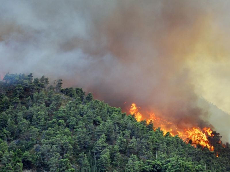 Два шумски пожари во Кривопаланечко 