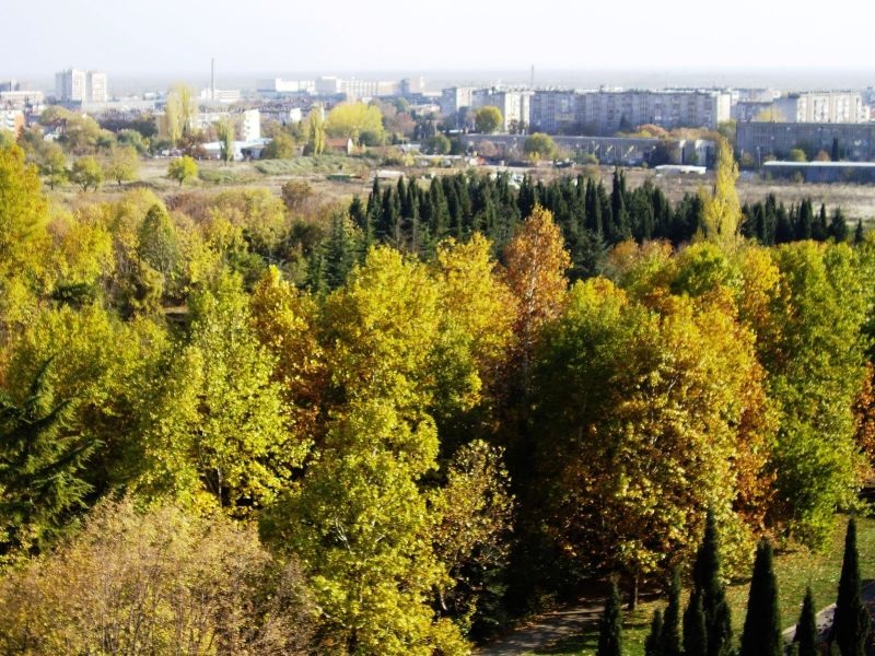 Парк во Бугарија имал двојно повеќе дрвја отколку што се мислело