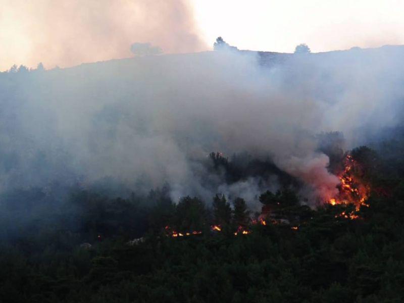 Пожар на грчкиот остров Хиос, шест лица се повредени 