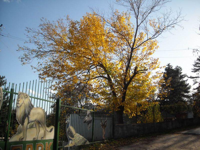 Битолската Зоолошка градина дополнително ги загрева кафезите на животните 