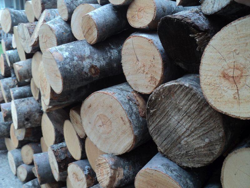 Фатени дрвокрадци за украден еден камион дрва