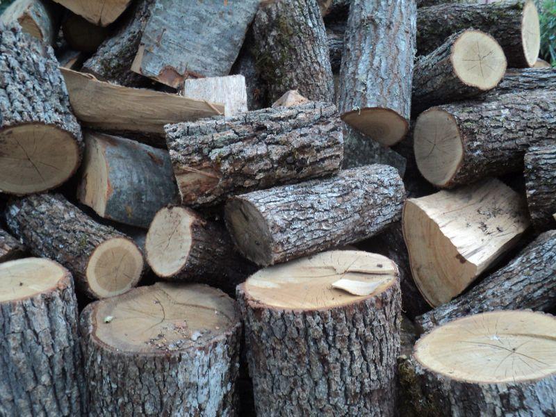 Склучени педесетина договори за набавка на огревно дрво во Гостивар