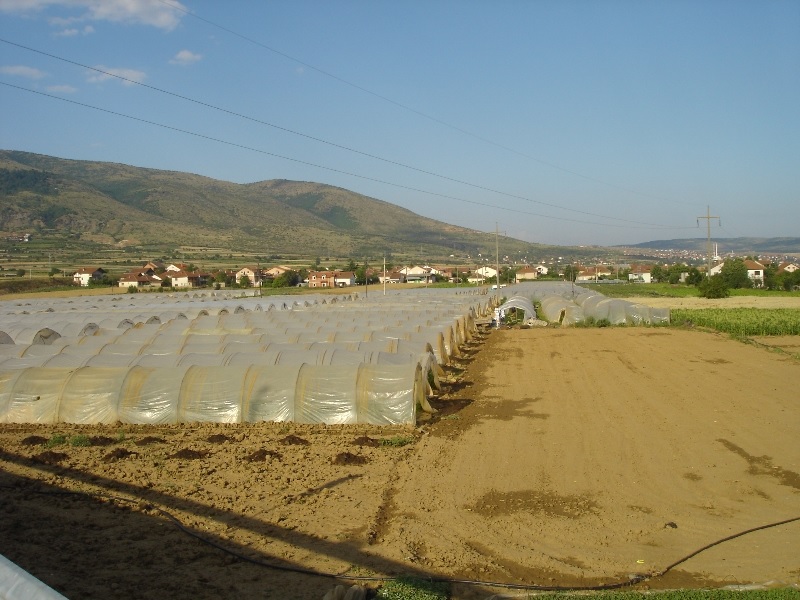 Може да се обработува почвата во поплавените скопски подрачја