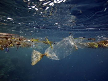 И бугарските екоактивисти ќе се борат против пластиката во водите