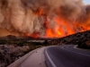 Двојно поголеми штети од пожарите во Грција ова лето
